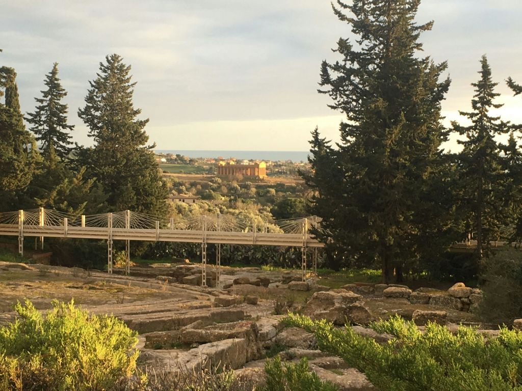 탁한 하늘 아래 고대의 사원과 바다가 한눈에 내려다보이는 커다란 나무와 바위 지형.