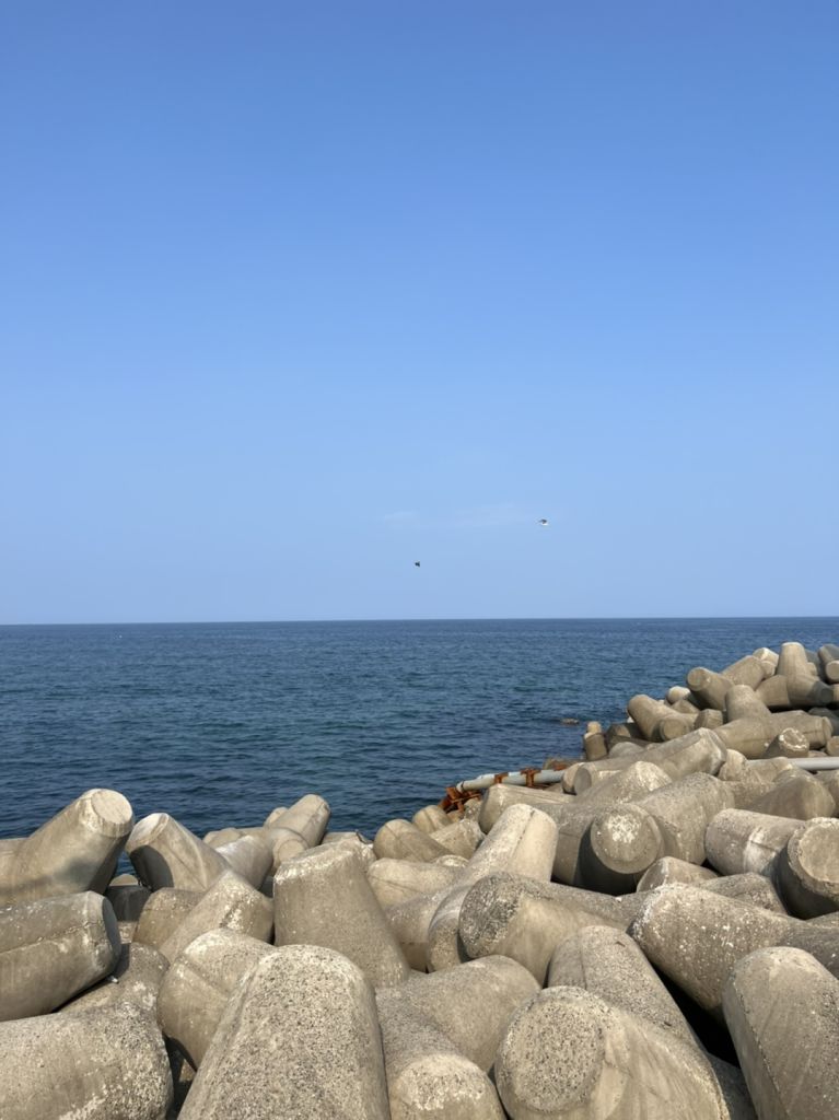 물치항 회 센터