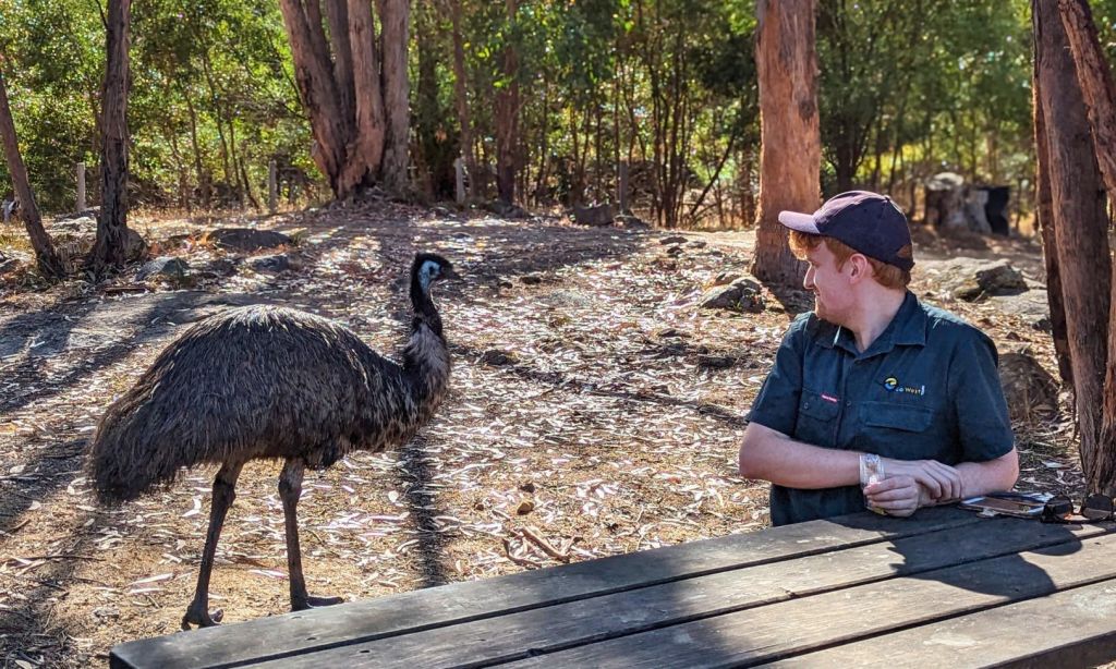 야외에 있는 한 사람이 나무 피크닉 테이블에 앉아 작은 가방을 들고 왼쪽을 바라보고 있습니다. 나무는 배경에 있습니다.