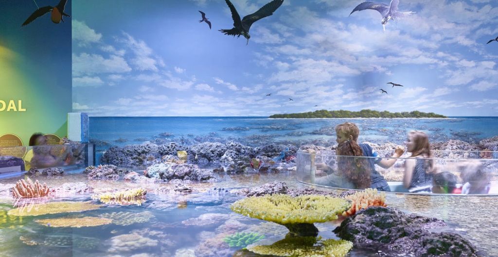 한 사람이 투명 포드에 앉아 활기찬 산호초와 부분적으로 흐린 하늘 아래 맑고 푸른 바다 위를 날고 있는 새들을 관찰하고 있습니다.