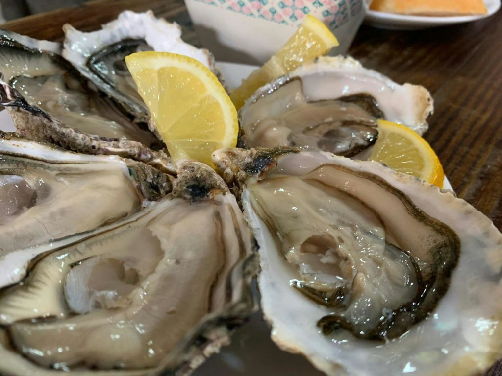 레몬 쐐기로 장식한 반쪽 껍질에 신선한 굴을 클로즈업하고, 배경에는 작은 패턴의 상자가 있습니다.