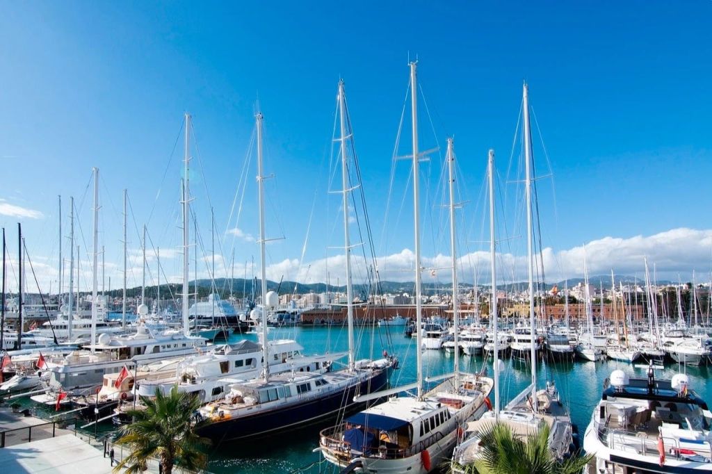 도시 풍경과 산을 배경으로 맑고 푸른 하늘 아래 수많은 요트와 요트가 즐비한 선착장입니다.