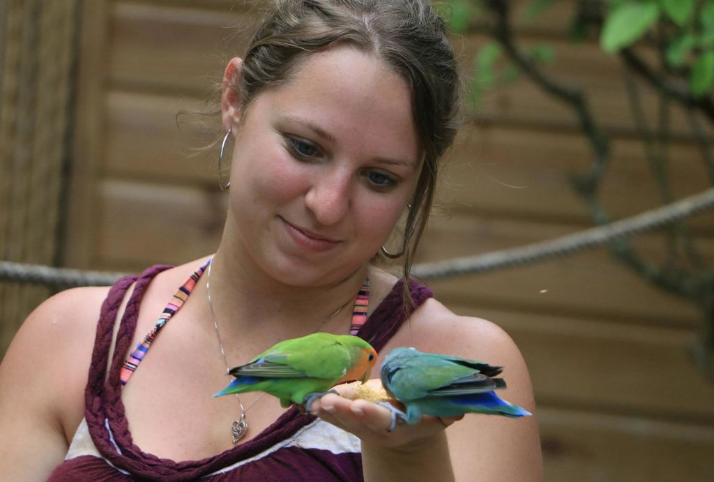 초록색과 파란색의 알록달록한 새 두 마리를 보며 미소를 짓고 있는 한 여성이 먹이를 주고 있습니다.