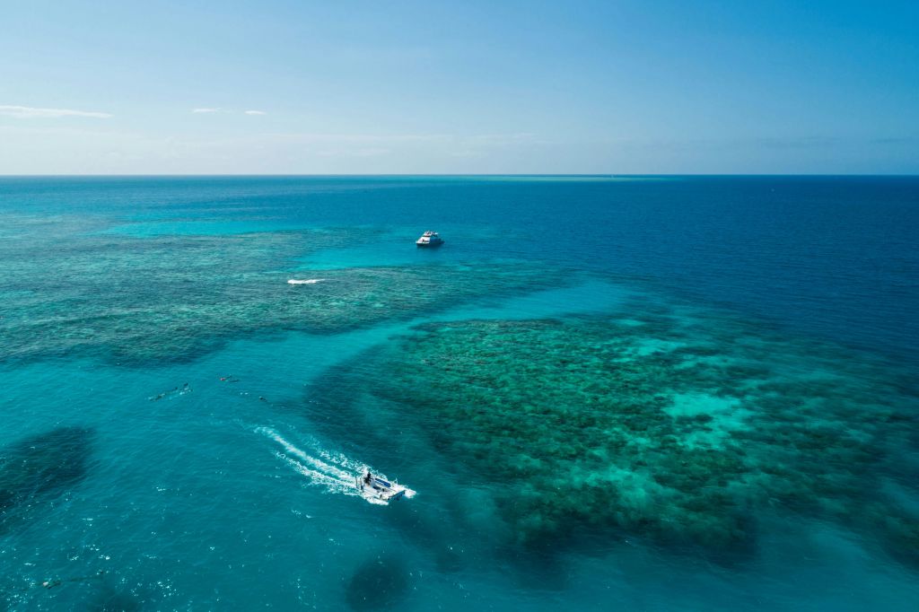 맑고 푸른 바닷물 위에 두 척의 보트가 있고 그 아래에 산호초가 보입니다. 하늘이 맑고 화창하다.