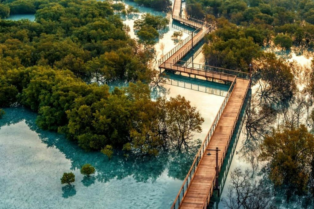 주베일 맹그로브 공원 - 보드워크 체험