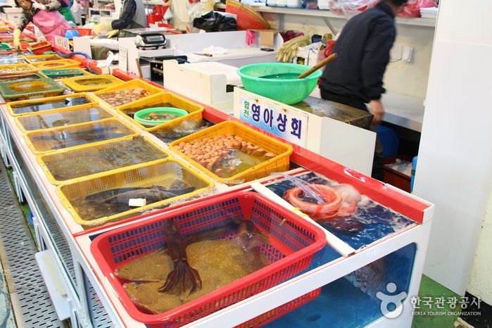 삼천포 용궁 수산 시장