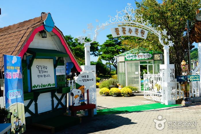 가족 나들이 코스