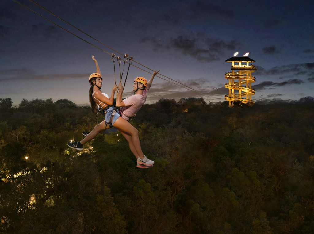 해질 무렵 헬멧과 하네스를 착용한 두 명의 여성이 아래에 조명이 보이는 나무로 둘러싸인 짚라인을 타고 있습니다.