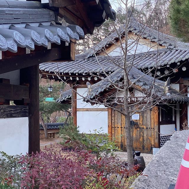 양탕국