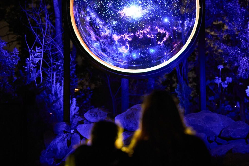 커럼빈 야생동물 보호구역의 아스트라 루미나