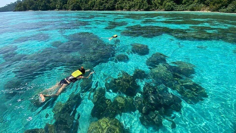 숲이 우거진 해안선을 배경으로 산호초 위의 투명한 청록색 바다에서 스노클링을 즐기는 두 사람.