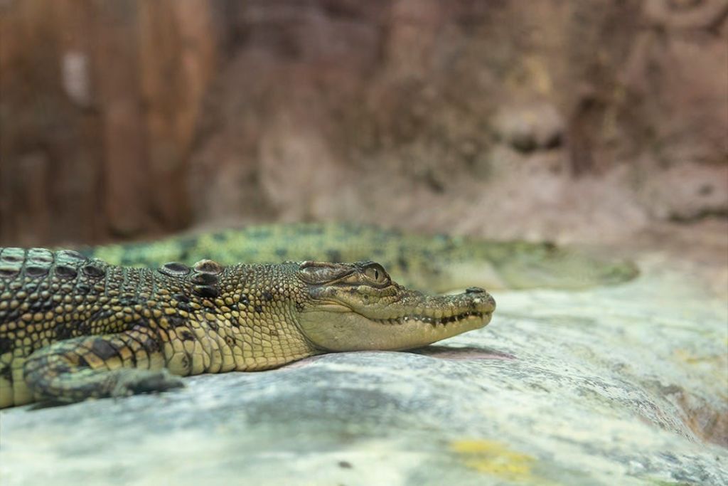 에마르 수족관 & 수중 동물원