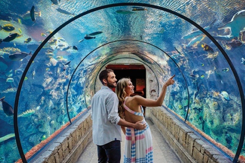 만달레이 베이 호텔 & 리조트의 샤크 리프 아쿠아리움