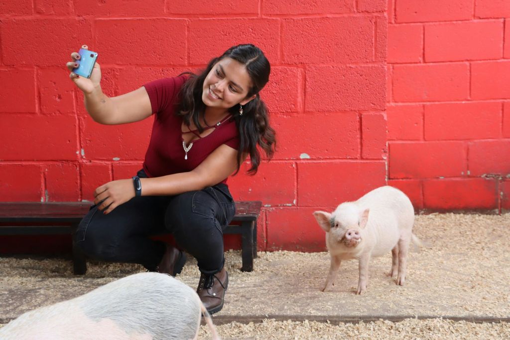 미친아쿠아리움과달라하라