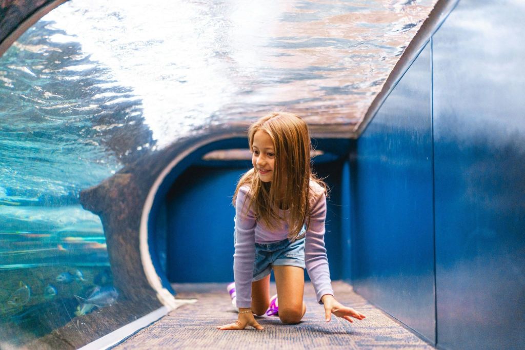 리플리스아쿠아리움오브더스모키스