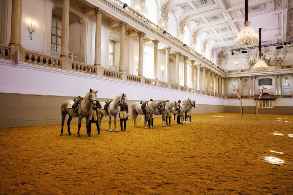 기둥과 높고 장식된 천장이 있는 화려한 실내 경기장에는 안장 달린 말 6마리가 줄지어 서 있습니다.