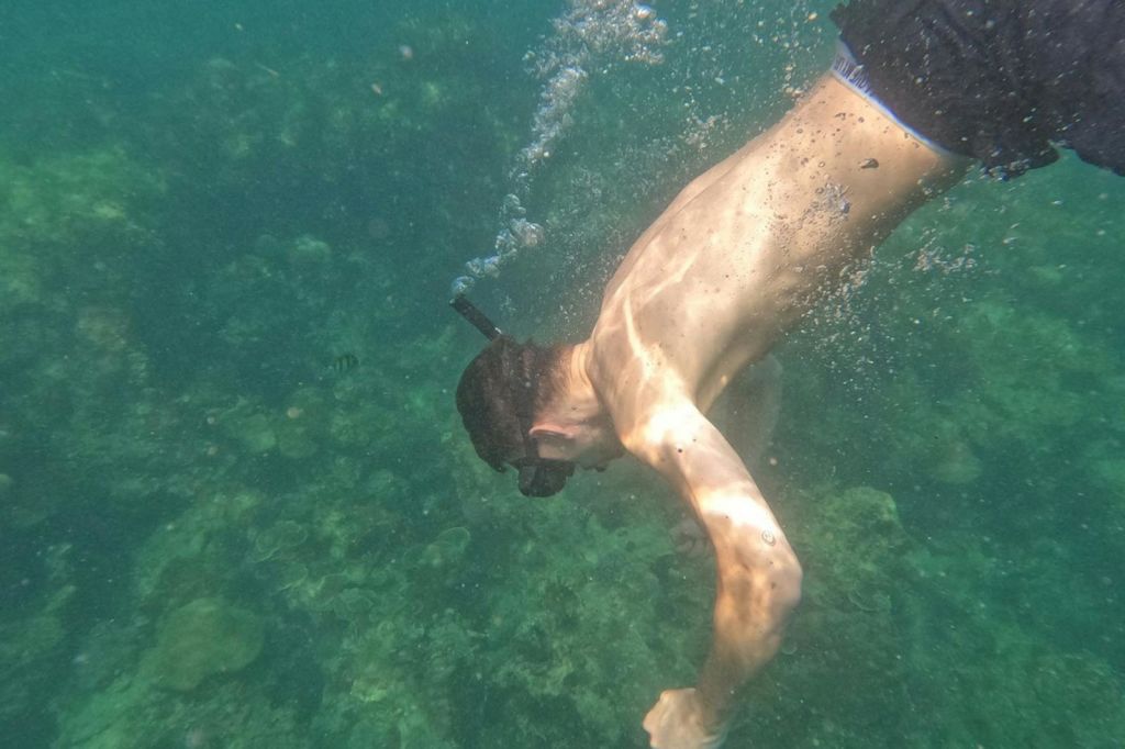 맑은 물에서 스노클링하는 사람, 스노클링 마스크를 착용한 사람. 햇빛이 수중 현장을 비추며 통과합니다.