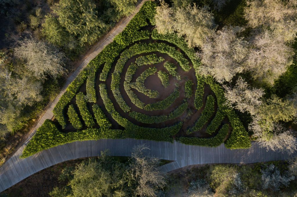 나무로 둘러싸인 삼각형 정원 미로의 공중 전망, 길과 나무 산책로가 교차합니다.