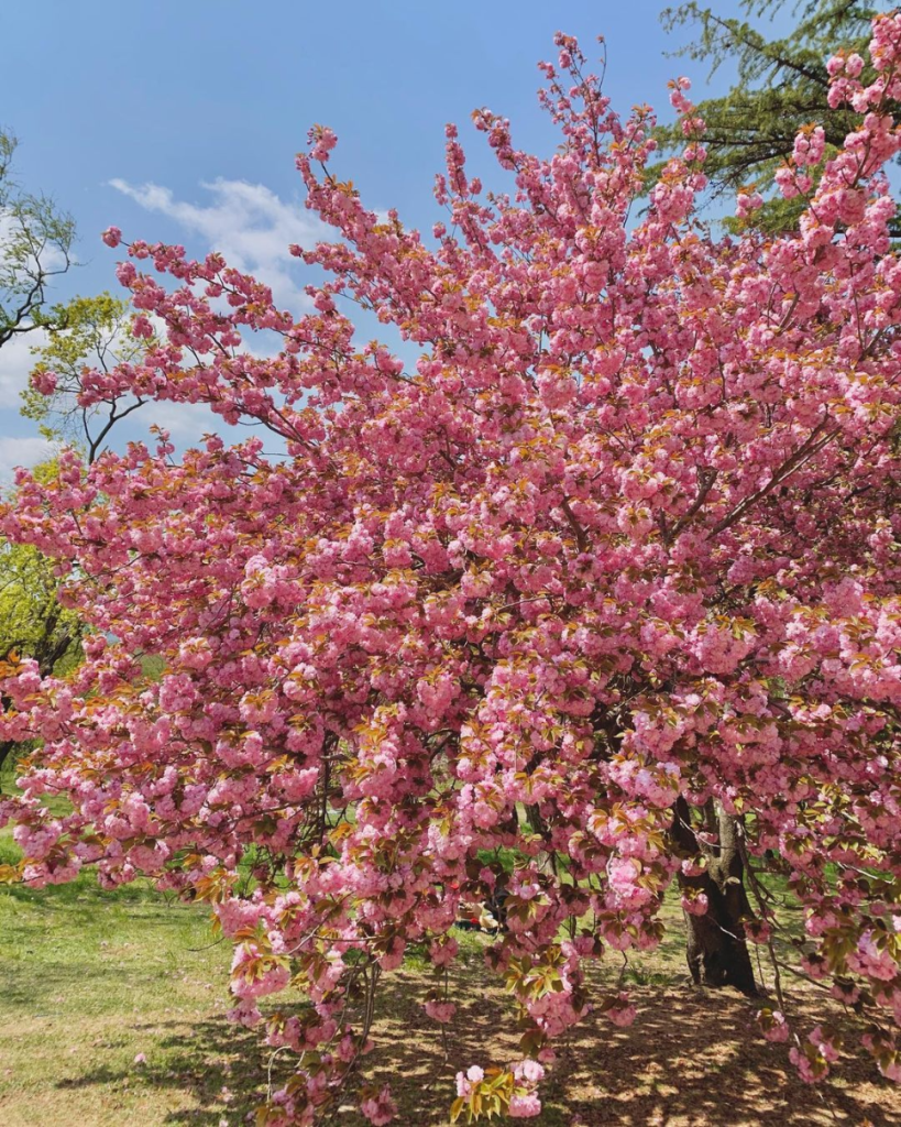 경주 불국사(5권역)