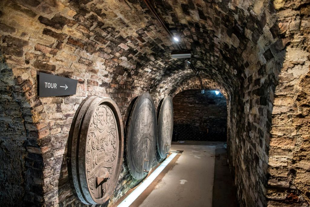 벽을 둘러싼 커다랗고 화려한 나무 통과 투어 방향을 알리는 표지판이 있는 벽돌 지하실. 스포트라이트가 어둡게 비춰집니다.