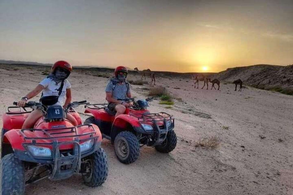 엘쿠세이어 사막 사파리