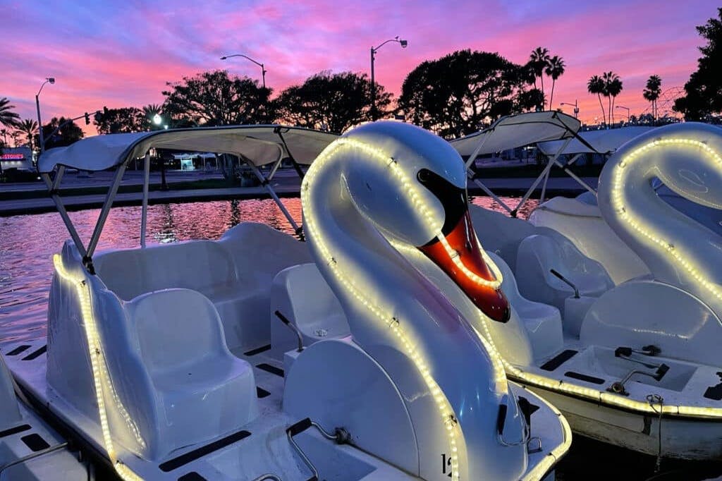 휠체어로 즐기는 레인보우라군 백조 보트 투어