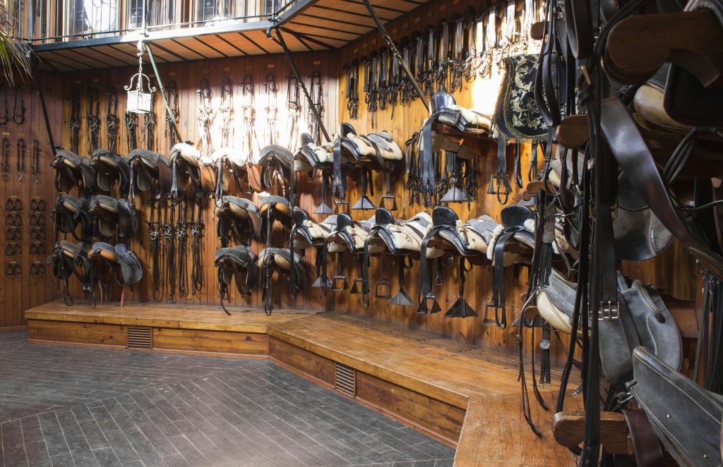 여러 마리의 말 안장, 굴레, 승마 장비가 잘 정돈된 압정실의 나무 벽에 깔끔하게 걸려 있습니다.