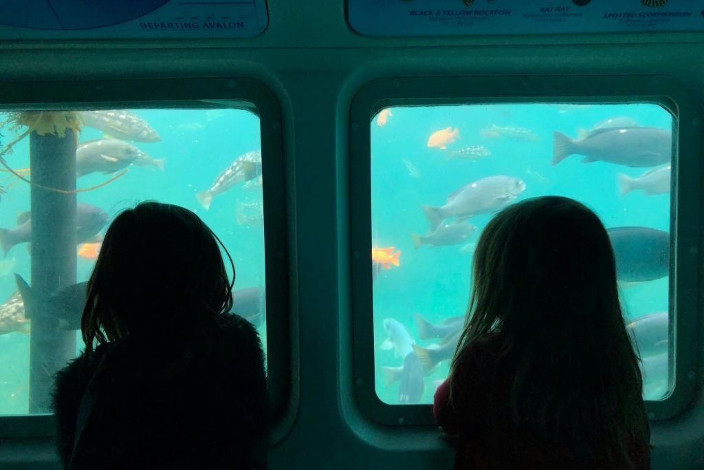 카탈리나섬과 해저 서브 어드벤처