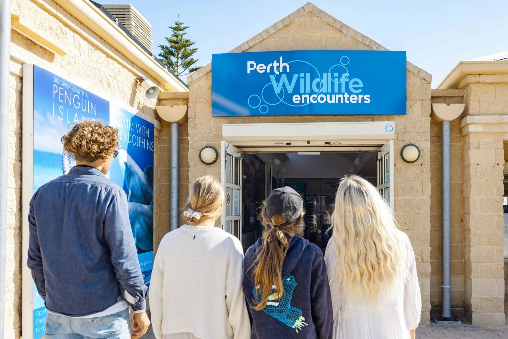 펭귄섬 방문자 센터 입구 - 체크인