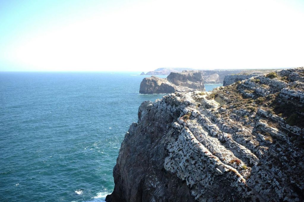 공급업체의 해안