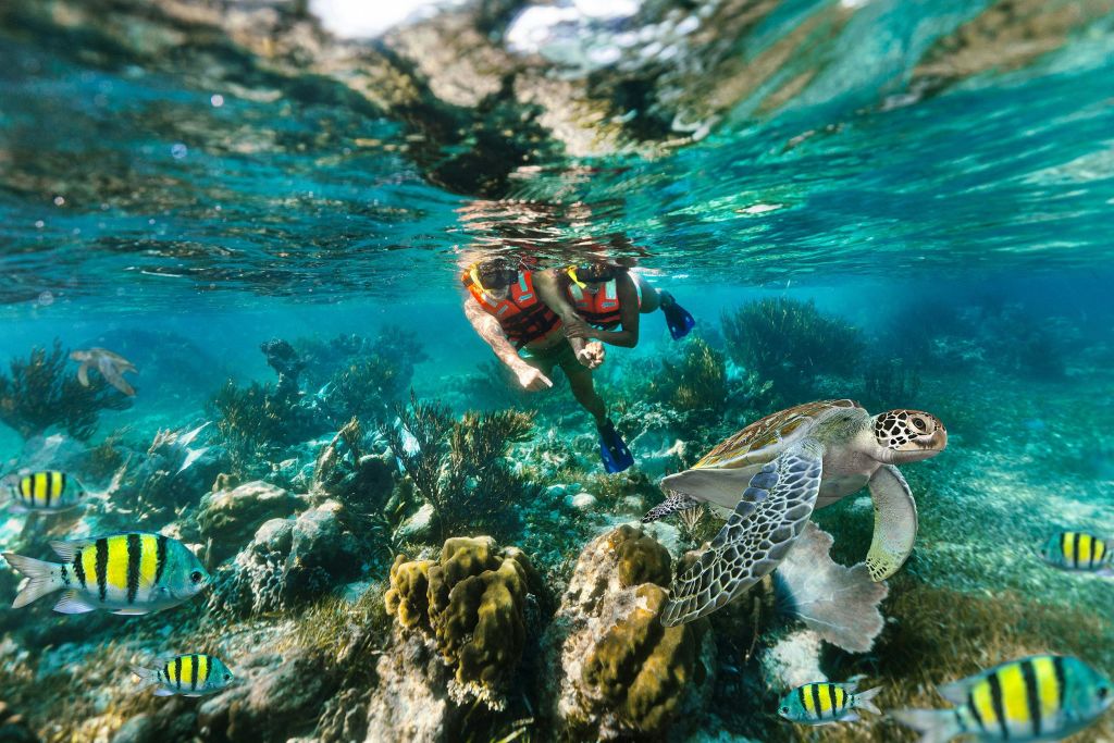 칸쿤에서 즐기는 스노클링