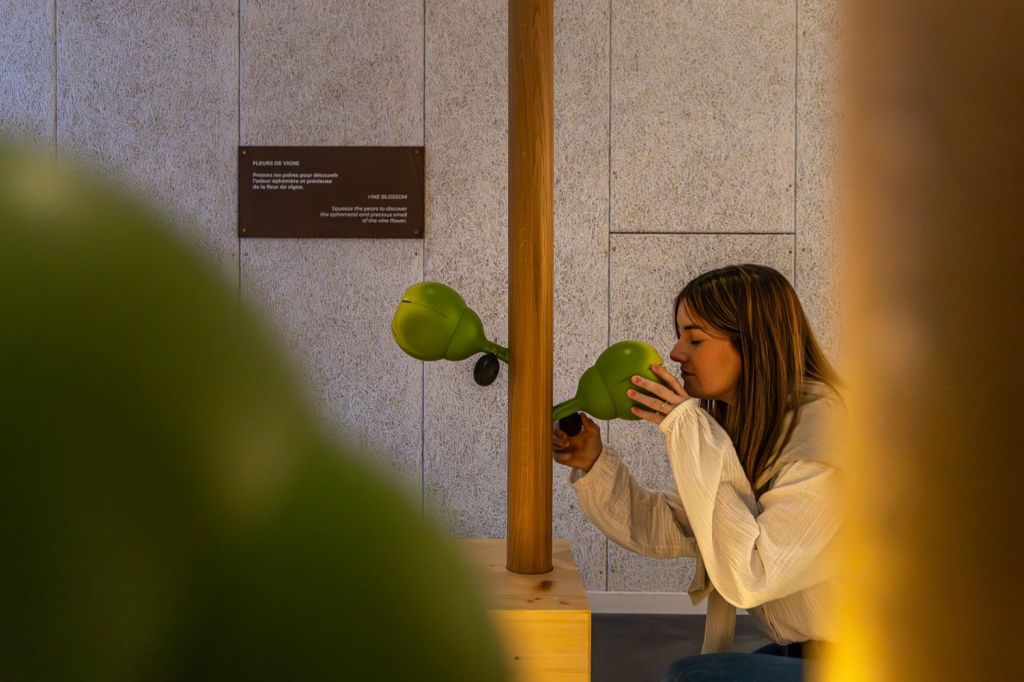 오감을 이용해 샴페인을 맛보세요.