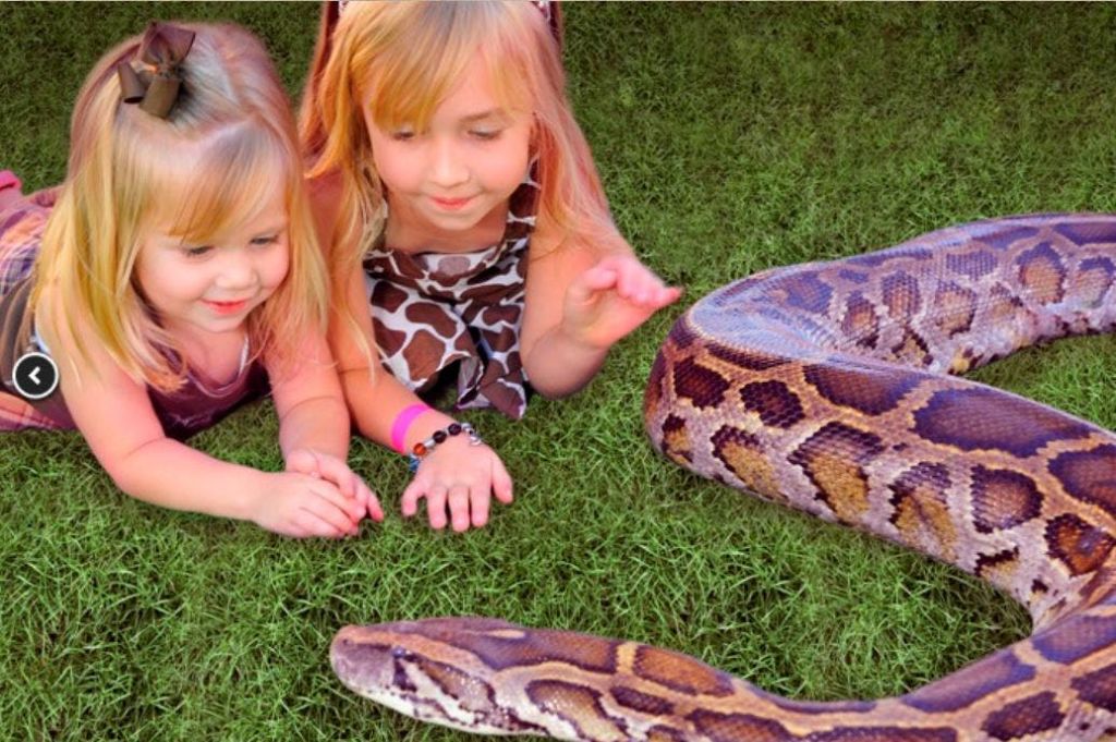 두 어린 소녀가 풀밭에 누워 커다란 뱀을 가까이서 지켜보고 있습니다. 두 소녀 모두 금발 머리를 하고 패턴이 있는 드레스를 입습니다.