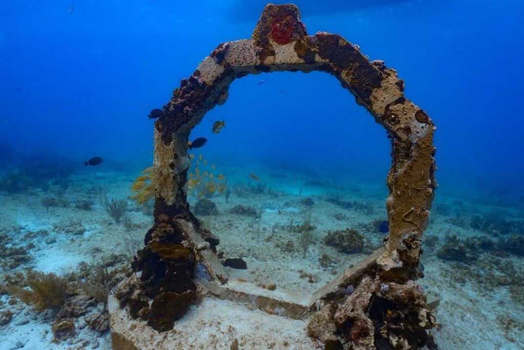 물고기와 수중 식물로 둘러싸인 모래 바다 바닥에 조류와 산호로 덮인 원형 석조 구조물.