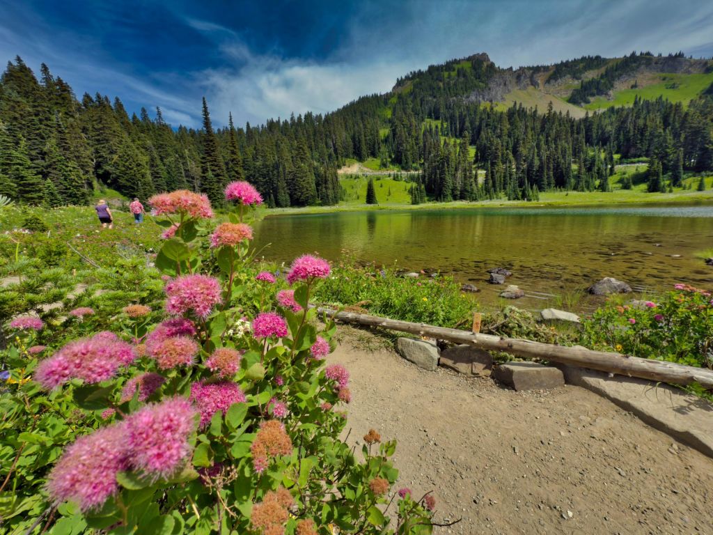 푸른 하늘 아래 전경에 분홍색 꽃이 만발한 숲으로 둘러싸인 고요한 산속 호수.