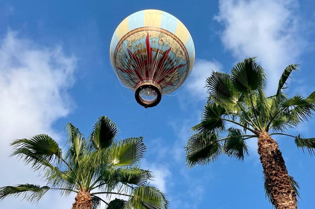 나오 비기아의 부활