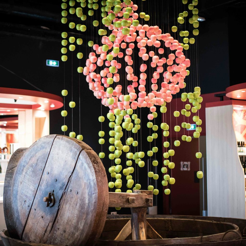 현대적인 실내 환경 앞에 분홍색과 녹색 구체를 매달아 놓은 대형 나무 통.