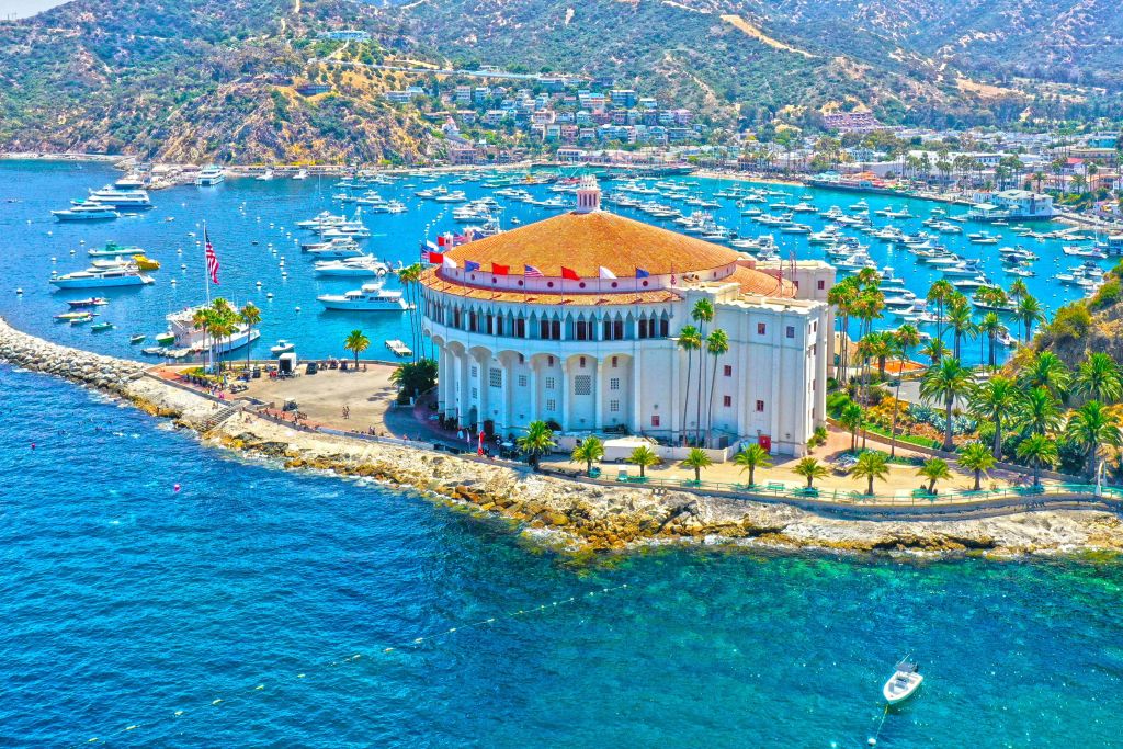 집라인 타고 즐기는 카탈리나섬 에코 투어