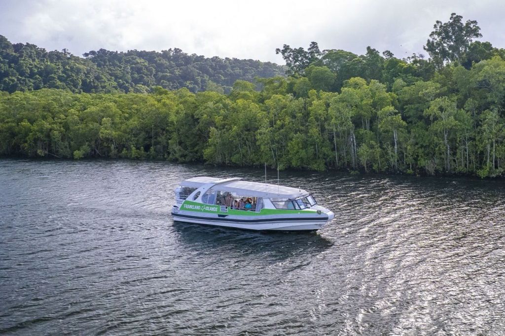 빽빽하고 푸른 숲 옆 강에서 승객이 탄 초록색과 흰색의 보트가 항해하고 있습니다.