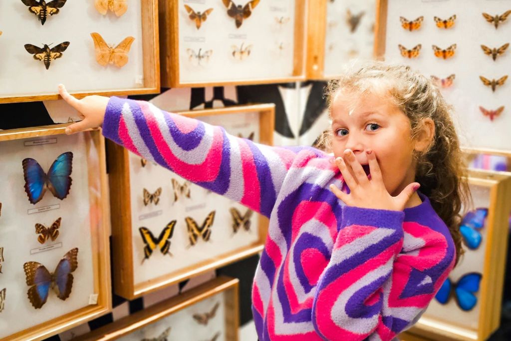 살아있는 나비 박물관