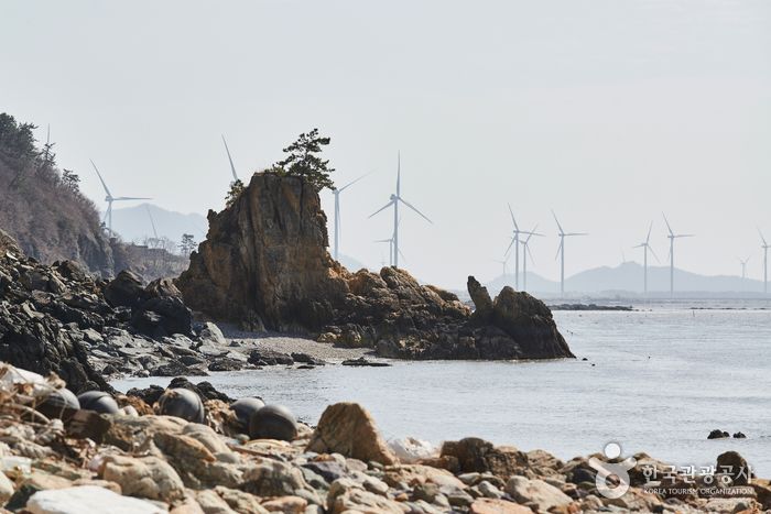 백수 해안 공원