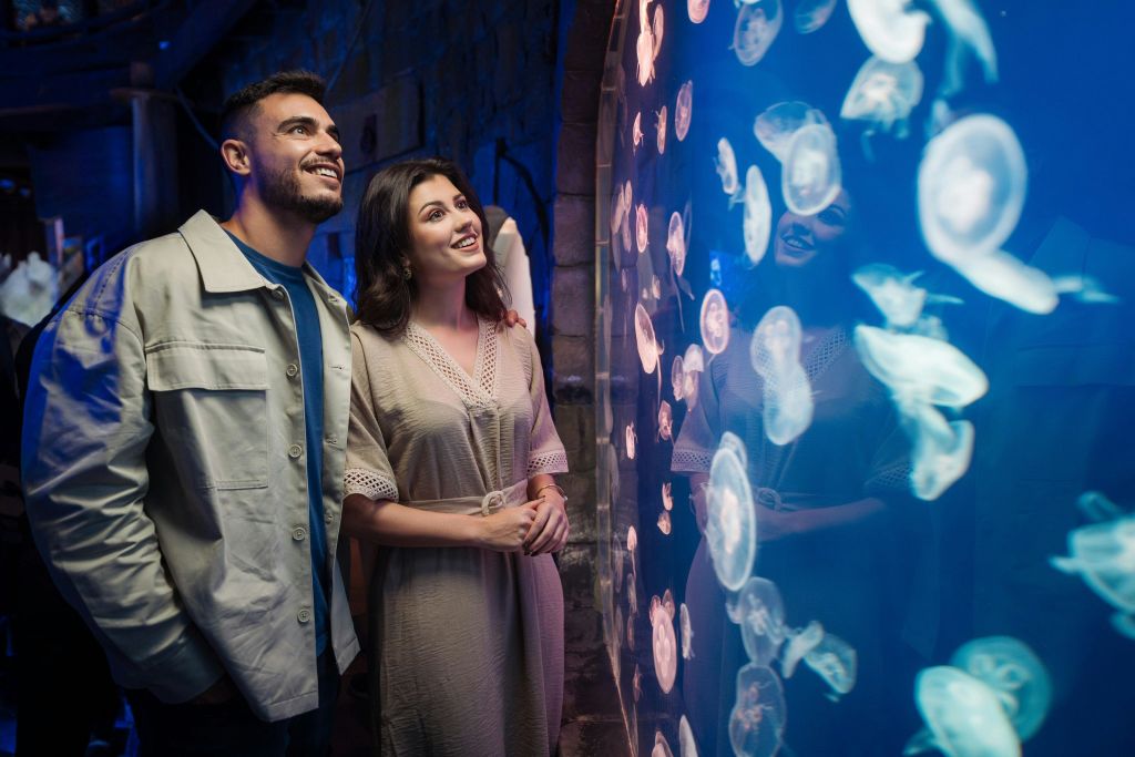 두바이 수족관 + 스카이뷰 콤보