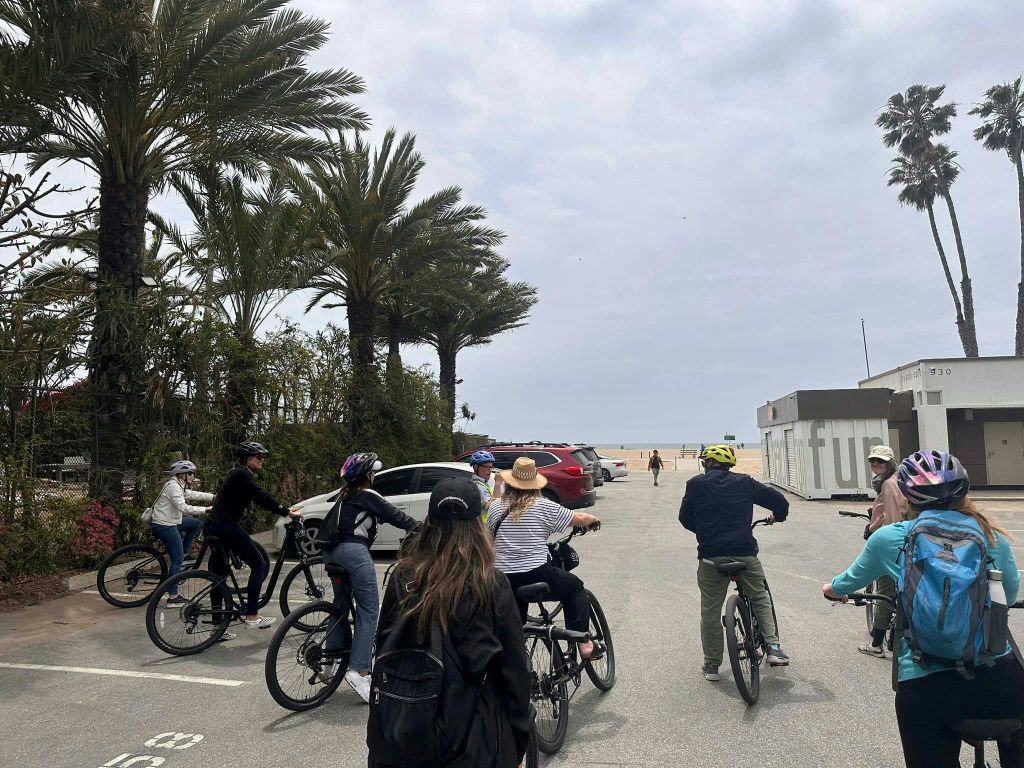 한 무리의 사람들이 자전거를 타고 해변으로 향하고 있으며, 야자수와 주차된 자동차가 도로를 따라 늘어서 있습니다.