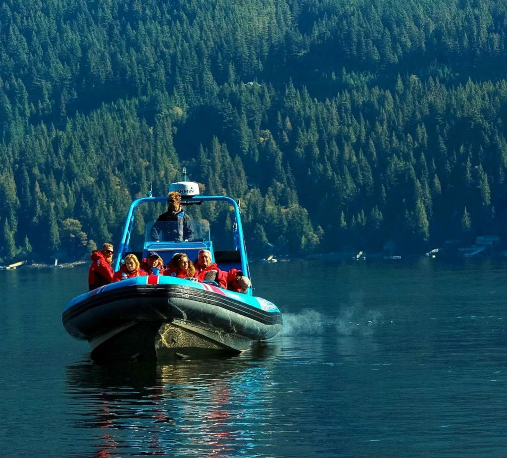인도의 팔을 가로지르는 요트 투어