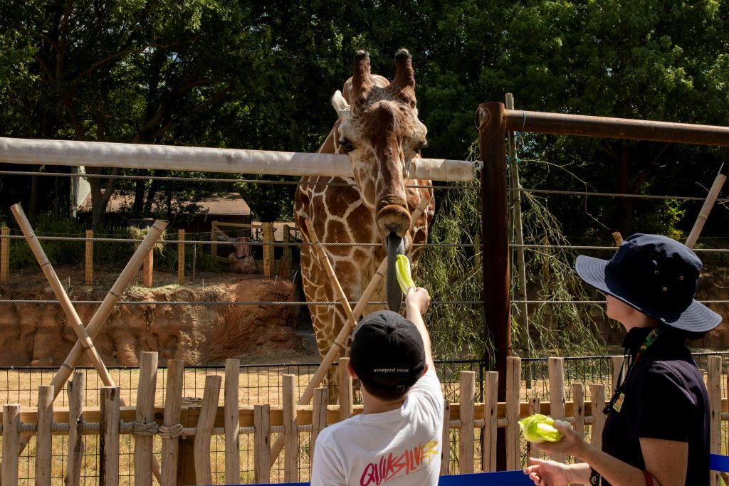 애틀란타 동물원