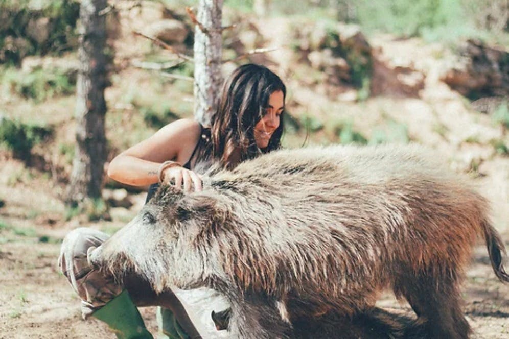 와일드 포레스트 리저브 재