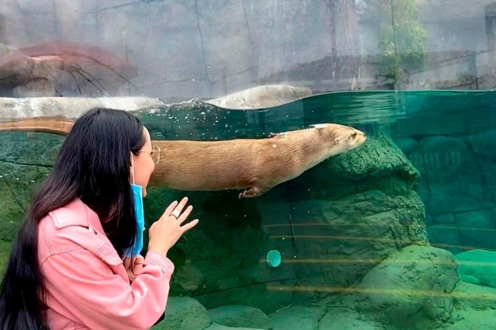 미친아쿠아리움푸에블라