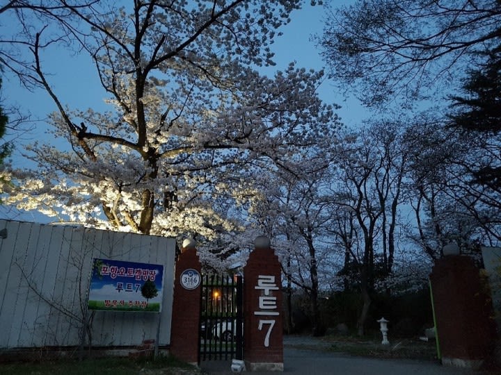 포항오토캠핑장 루트7