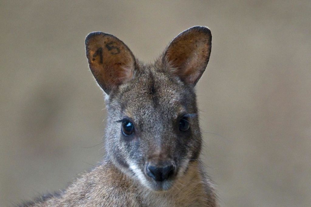샌디에고 동물원