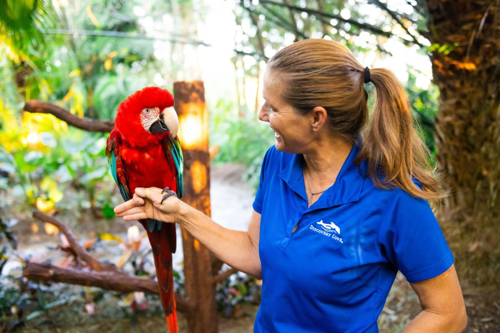 울창하고 숲이 우거진 야외에서 파란색 디스커버리 코브 셔츠를 입은 여성이 손에 잡히는 붉은 앵무새를 보며 미소 짓고 있습니다.